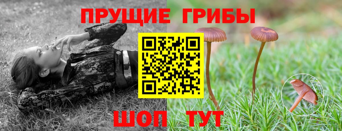 Галлюциногенные грибы прущие грибы  Вход с VPN  где можно купить   Тольятти  Галлюциногенные грибы Psilocybine cubensis 